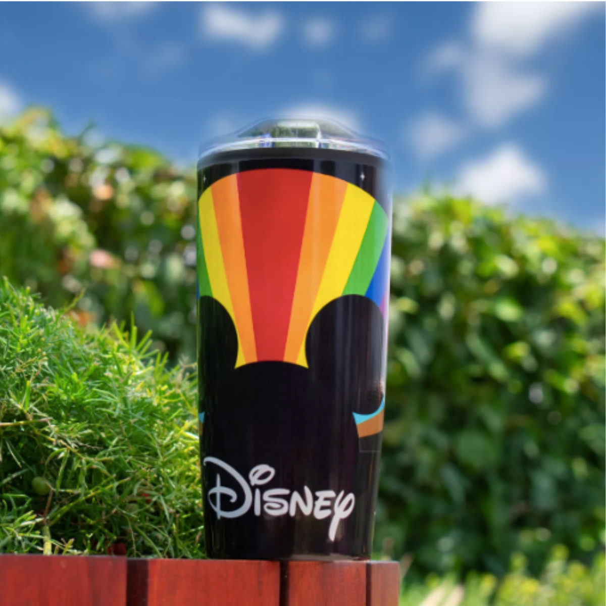 Termo Doble Pared Mickye Pride Lgbt 500 Ml