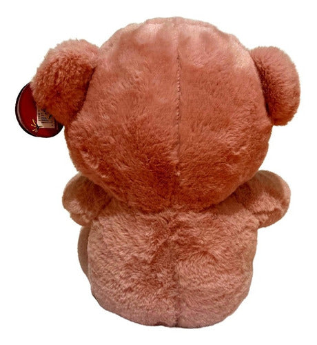Oso Rosa De Peluche Con Corazón Love Amor