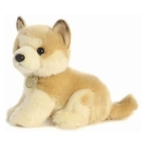 Aurora - Miyoni - Akita Cachorro Color Café