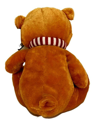 Oso De Peluche Con Bufanda Navideña