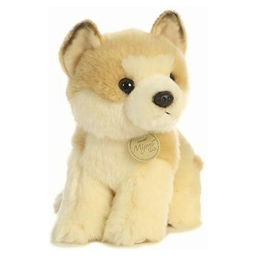 Aurora - Miyoni - Akita Cachorro Color Café