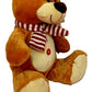 Oso De Peluche Con Bufanda Navideña