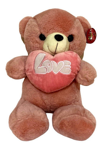 Oso Rosa De Peluche Con Corazón Love Amor